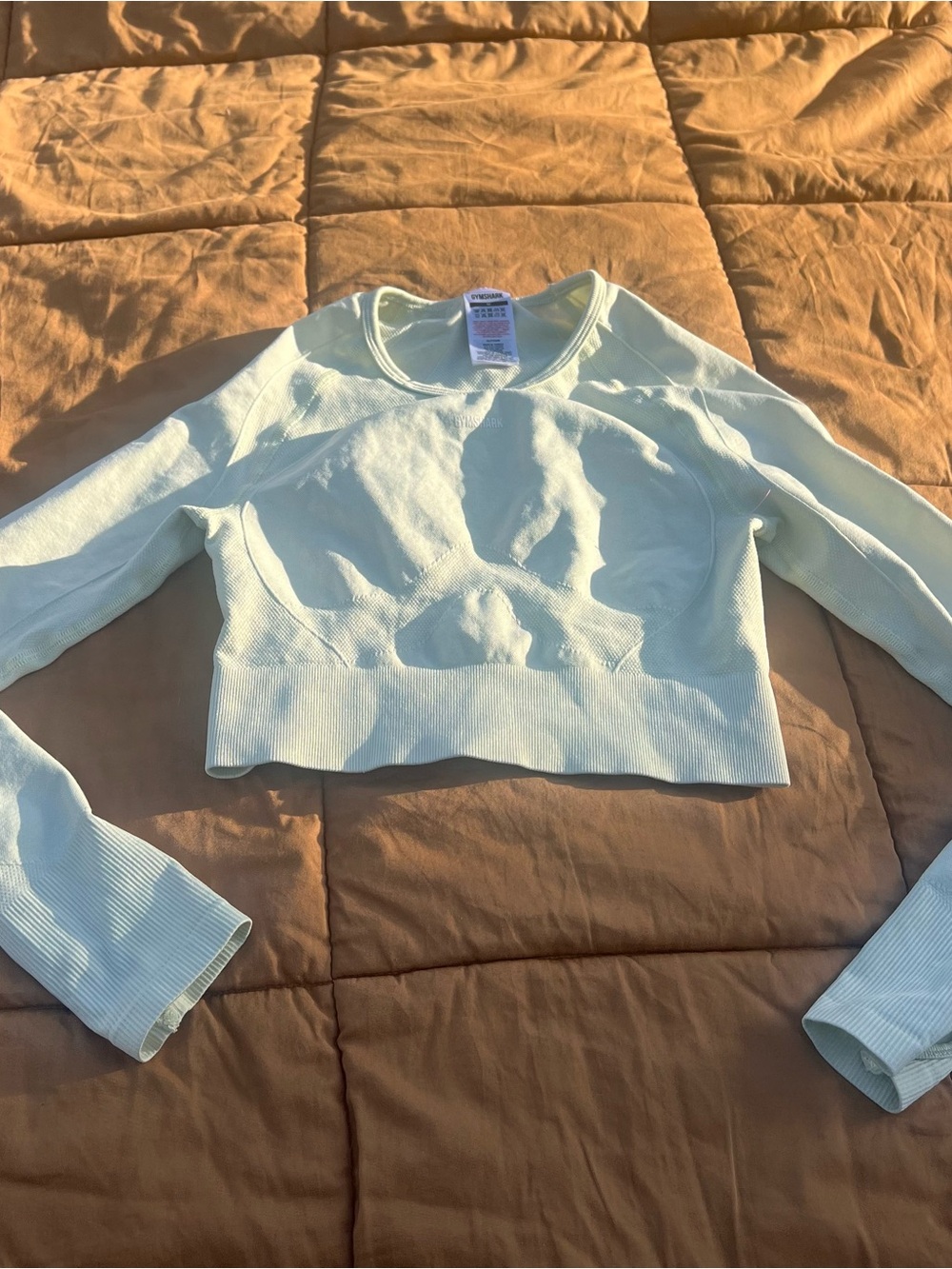 Gymshark Flex Light Mint Ribbed Cropped Long Sleeve Top Open Back Size Medium